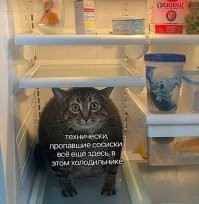 Не ищите здесь смысл. Здесь в основном маразм