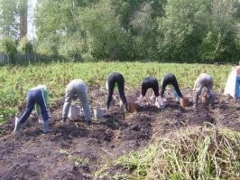 в 90-е многие выживали за счет огородов, своим трудом. А сейчас - за счет бабушкиных пенсий пытаются