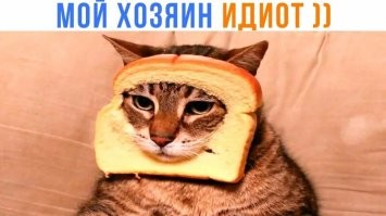 Тренд не странный и далеко не новый. Уже порос бородой и мемами в интернетах