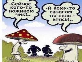 Демотиваторы для всех: «Дрессируй хозяина правильно»