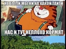 Кот деловито уселся на разрушенной скамье