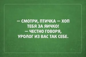 Опасный "кусь" щенка