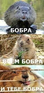 Как в Москве бобра спасали