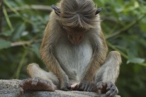 Инстинкты...