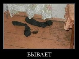 Демотиваторы для всех: «Дрессируй хозяина правильно»