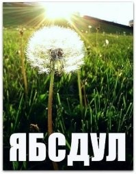 Улыбатор