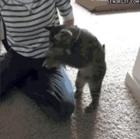 Обрезали зачем-то..
