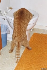 Удивительные истории, о которых невозможно молчать