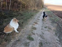 С двумя,прошу заметить.