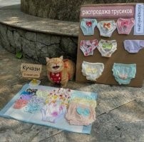Китайский котик помогает своей сильной и независимой хозяйке делать маленький бизнес :sarcastichand: