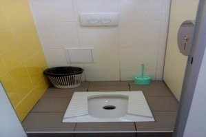 И это самый правильный. Потому что сидя  на корточках над таким "устройством" кишечник легче, лучше и полностью освобождается от... (ну вобщем от этого самого).