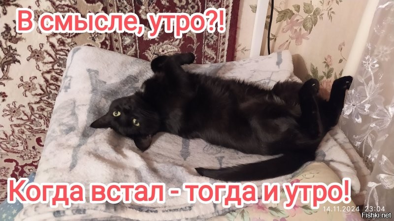 Скрины из соцсетей&nbsp;&nbsp;&nbsp;&nbsp;&nbsp;&nbsp;&nbsp;&nbsp;&nbsp;&nbsp;&nbsp;&nbsp;