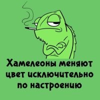 Даже не знаю, как комментировать этот бред.