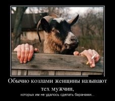 Не ищите здесь смысл. Здесь в основном маразм