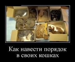 25 примеров того, как работают ловушки для котиков повышенной эффективности