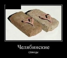 У моих соседей есть