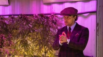 Вот у кого надо учиться