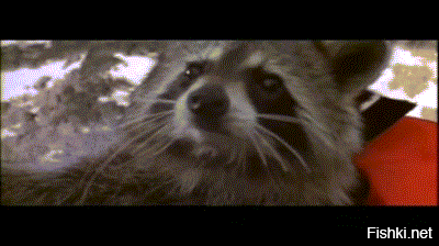 скорее Эйс Вентура 2  :)