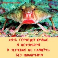 Бабам посвящается.