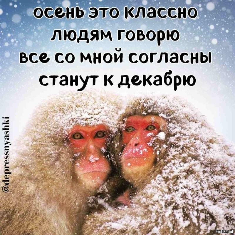 Надо новый штат тээсов набирать.Эти сломались.