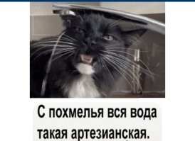 Просто гифки, всякие и&nbsp;разные