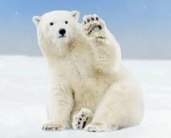 Почему в Таиланде нельзя купаться ночью и в дождь?