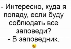 Особенности жизни в Пакистане, которые удивляют людей из других стран