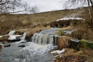 Вот сколько себя помню, с сандального детства, в любое не зимнее время года,  перекрывали дёрном вот эту миниплотину и через час под камнями вылавливали налимов и агальцов руками! Ну конечно как и везде-чем дальше, тем меньше...Калужская обл.