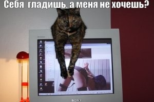 25 загадочных обитателей дома, без которых он не был бы таким прекрасным