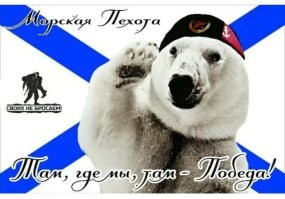 Полакомился военными пайками: к военной базе на Аляске ворвался голодный медведь