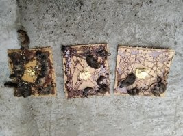 про кустарник не знаю ..
яблони, по весне, 1 метр от земли, обматываю малярным (бумажным) скотчем, 5-6 оборотов, на него клей мышиный "ALT", не реклама, но лучче не знаю ..
все желающие залезть липнут ..