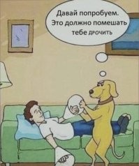 Драчить почётно! ©