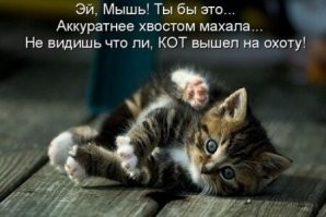 25 очаровательных созданий, претендующих на статус души дома