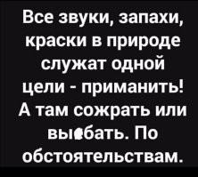 Демотиваторов пост