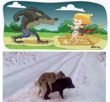Да кто их знает...