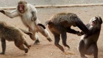 В Башкирии во время конфликта подросток ударил пенсионера