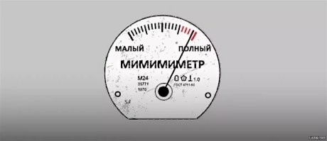 Котята-боксеры повеселили хозяев