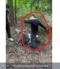 Всю стаю прикопать в этом же лесочке.
Мелких – в первую очередь.