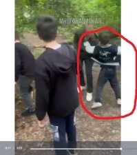 Всю стаю прикопать в этом же лесочке.
Мелких – в первую очередь.