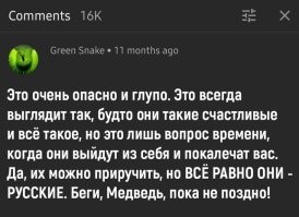 Ручной медведь Савва