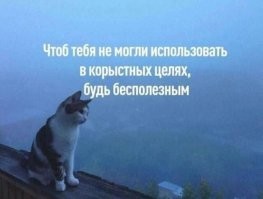 Совершенно секретно