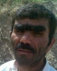 В Омской области полицейские поймали серийных похитителей баранов