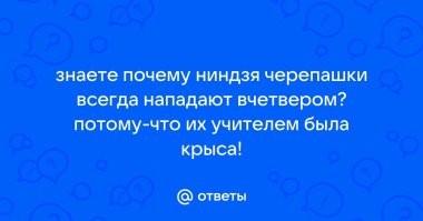 "Донателло Петрович": петербуржец назвал сыновей в честь Черепашек-ниндзя