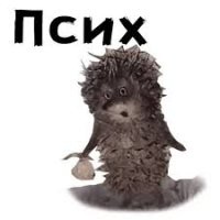 Мужчина дотронулся до пса и "сломал" его