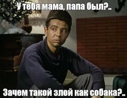 Котята спрятались в неожиданном месте