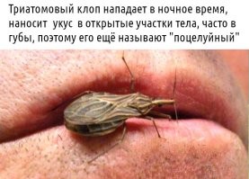 это разве фобия? вот держи нормальную