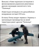 Лабусы любят орехи?