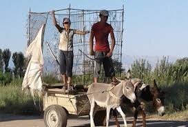 Ставка на чёрное.