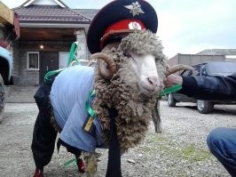 Дагестанский полицейский.