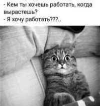 "Поняла, что сам бог меня отвёл": девушка не пришла на собеседование и выставила работодателя не в лучшем свете